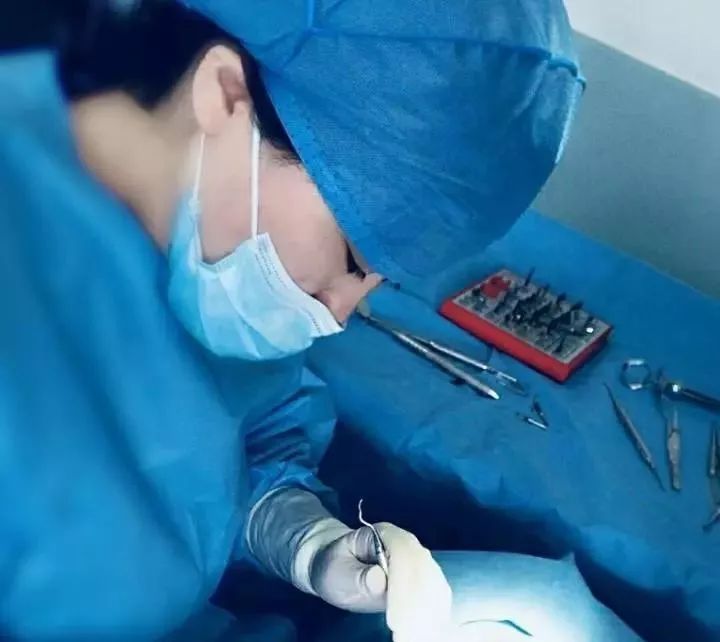 赛德阳光口腔 全科医生 王琳美学修复专场 活动 赛德阳光口腔 全科医生 王琳美学修复专场 活动