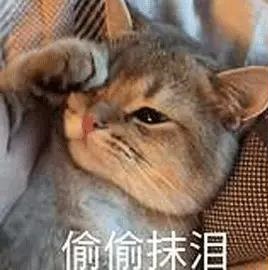 偷偷抹泪