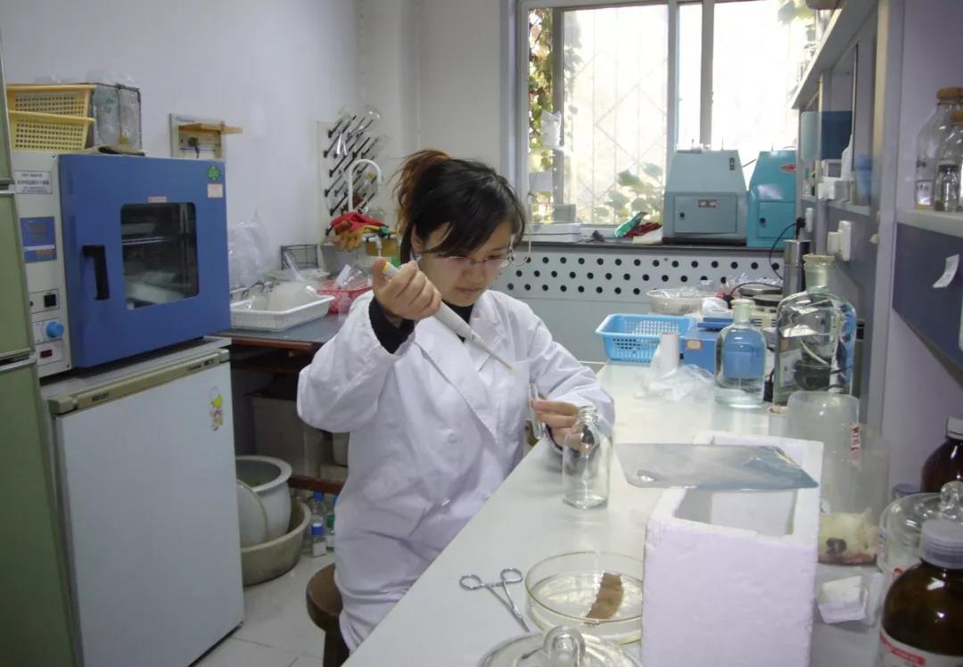张洲博士在北大口腔细胞实验室