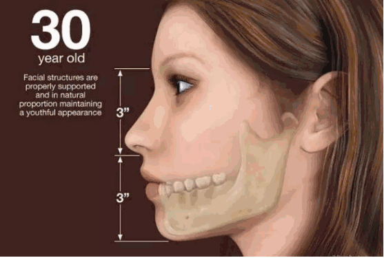 当我们年老时，面部的下三分之一会比年轻时变短，原因可能就在于牙齿的磨耗和变化。